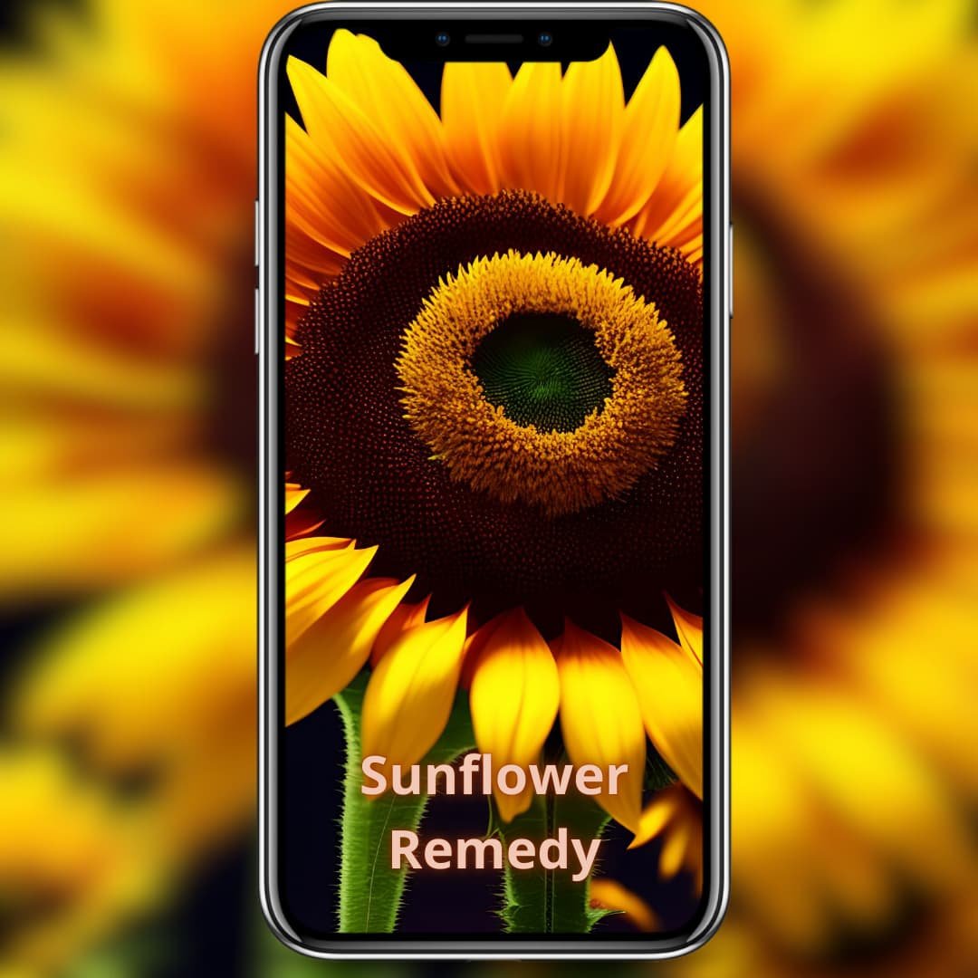 Sunflower Remedy